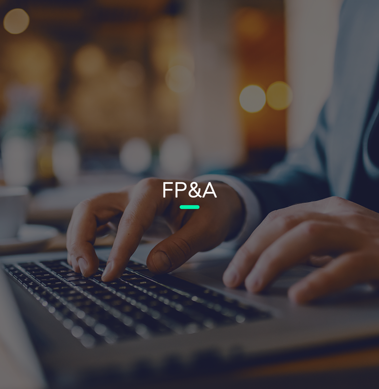 Profissionais de finanças: Para FP&A