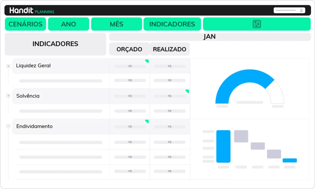 Tela de indicadores de liquidez, solvência e endividamento